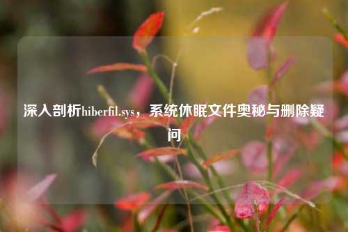 深入剖析hiberfil.sys，系统休眠文件奥秘与删除疑问