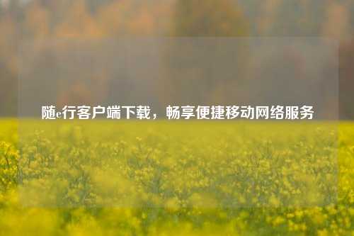 随e行客户端下载，畅享便捷移动网络服务