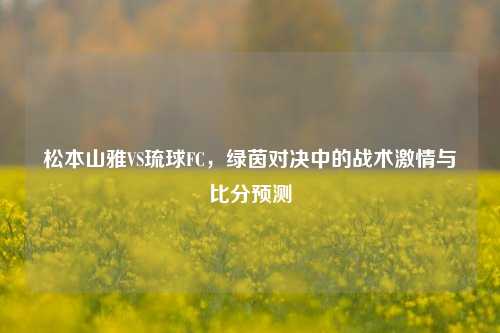 松本山雅VS琉球FC,绿茵对决中的战术激情与比分预测