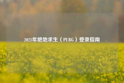 2021年绝地求生（PUBG）登录指南