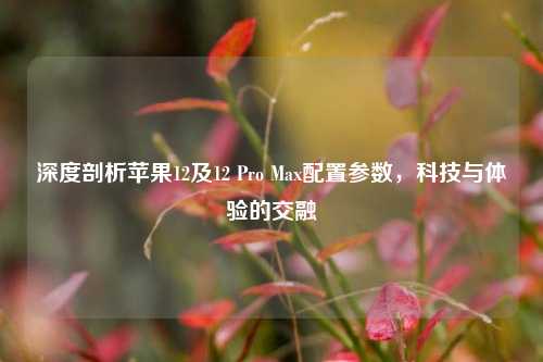 深度剖析苹果12及12 Pro Max配置参数,科技与体验的交融