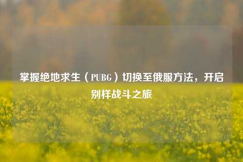 掌握绝地求生(PUBG)切换至俄服方法,开启别样战斗之旅