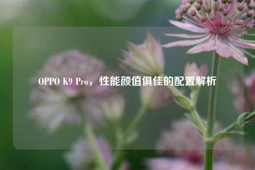 OPPO K9 Pro,性能颜值俱佳的配置解析