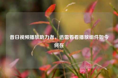昔日视频播放助力者,迅雷看看播放组件如今何在