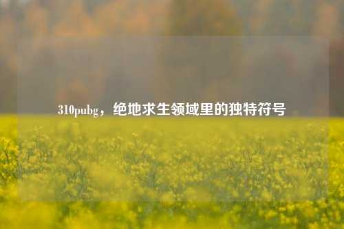 310pubg,绝地求生领域里的独特符号