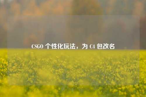 CSGO 个性化玩法,为 C4 包改名