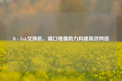 D - link交换机,端口镜像助力构建高效网络