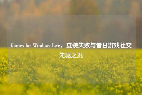 Games for Windows Live,安装失败与昔日游戏社交先驱之况