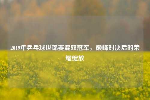 2019年乒乓球世锦赛混双冠军,巅峰对决后的荣耀绽放