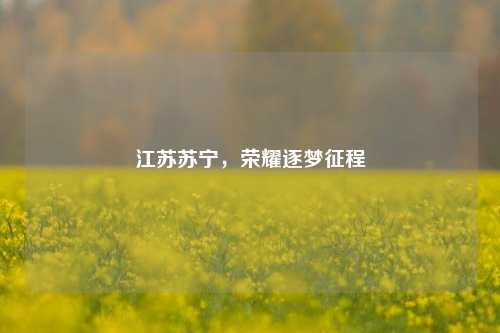 江苏苏宁,荣耀逐梦征程