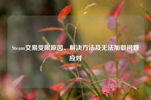 Steam交易受限原因、解决方法及无法加载问题应对