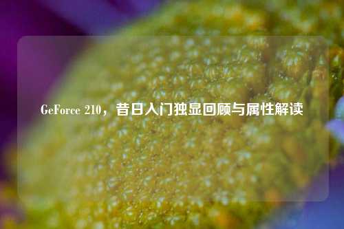 GeForce 210,昔日入门独显回顾与属性解读