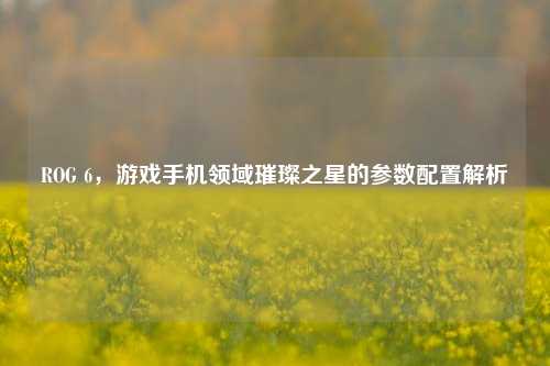ROG 6,游戏手机领域璀璨之星的参数配置解析