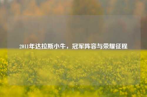 2011年达拉斯小牛,冠军阵容与荣耀征程