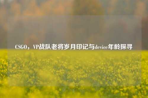 CSGO,VP战队老将岁月印记与device年龄探寻
