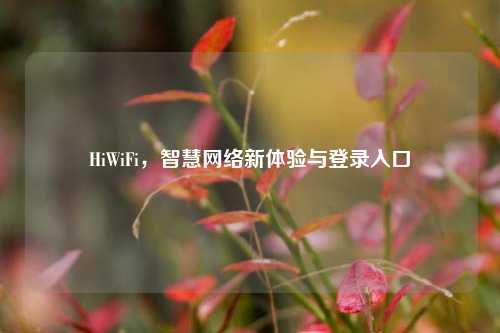 HiWiFi，智慧网络新体验与登录入口