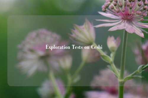 Exploration Tests on Ceshi