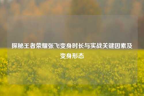 探秘王者荣耀张飞变身时长与实战关键因素及变身形态