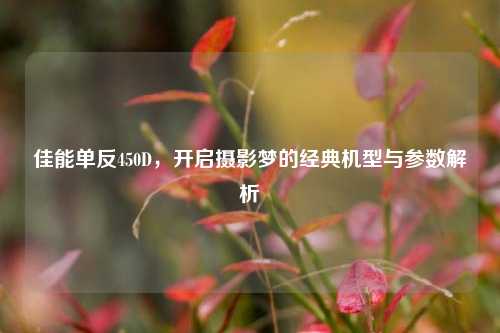 佳能单反450D，开启摄影梦的经典机型与参数解析