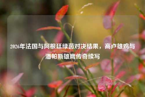 2026年法国与阿根廷绿茵对决结果,高卢雄鸡与潘帕斯雄鹰传奇续写