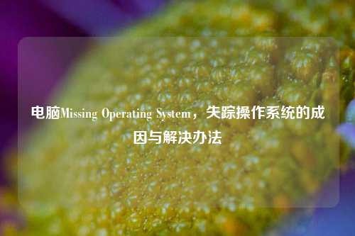 电脑Missing Operating System，失踪操作系统的成因与解决办法