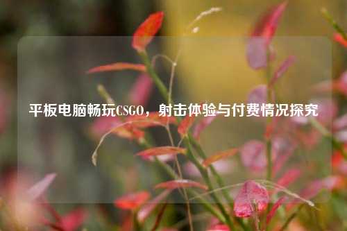 平板电脑畅玩CSGO，射击体验与付费情况探究