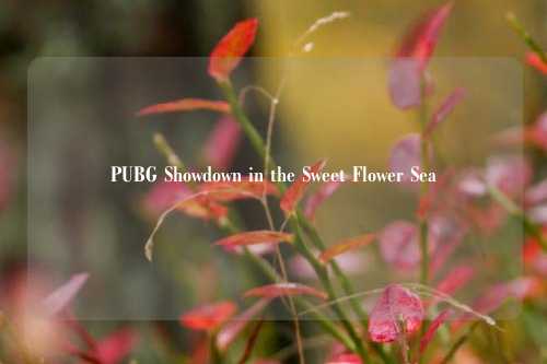 PUBG Showdown in the Sweet Flower Sea