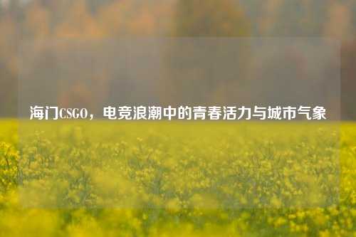 海门CSGO,电竞浪潮中的青春活力与城市气象