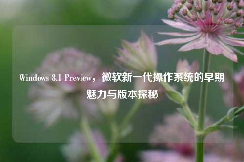 Windows 8.1 Preview,微软新一代操作系统的早期魅力与版本探秘