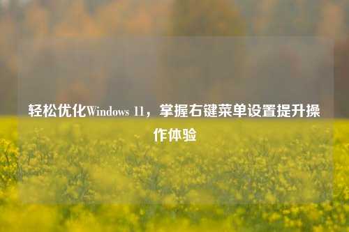 轻松优化Windows 11,掌握右键菜单设置提升操作体验