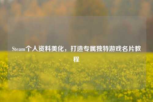 Steam个人资料美化,打造专属独特游戏名片教程