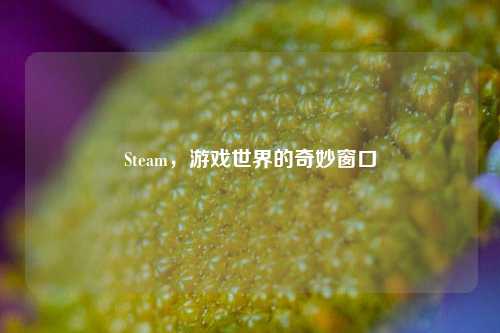 Steam,游戏世界的奇妙窗口