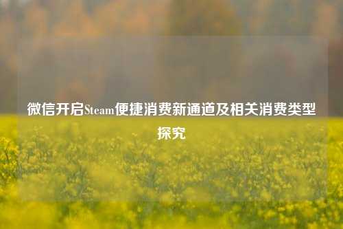 微信开启Steam便捷消费新通道及相关消费类型探究