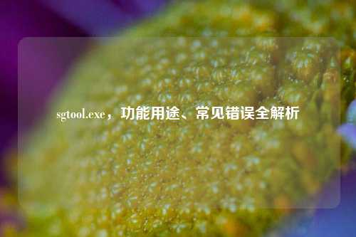 sgtool.exe,功能用途、常见错误全解析