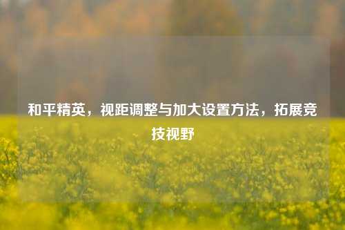 和平精英,视距调整与加大设置方法,拓展竞技视野