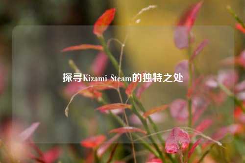 探寻Kizami Steam的独特之处