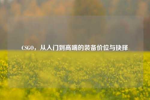 CSGO,从入门到高端的装备价位与抉择