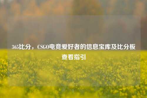 365比分,CSGO电竞爱好者的信息宝库及比分板查看指引