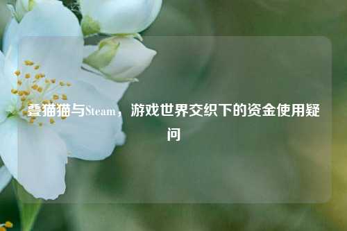 叠猫猫与Steam，游戏世界交织下的资金使用疑问