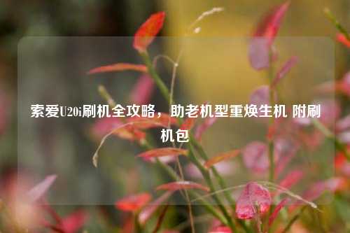 索爱U20i刷机全攻略,助老机型重焕生机 附刷机包