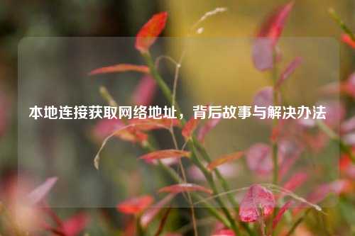 本地连接获取网络地址,背后故事与解决办法