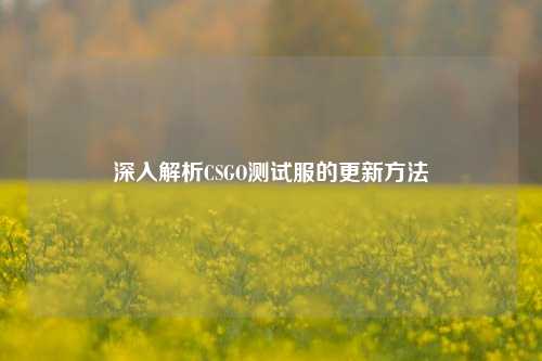 深入解析CSGO测试服的更新方法