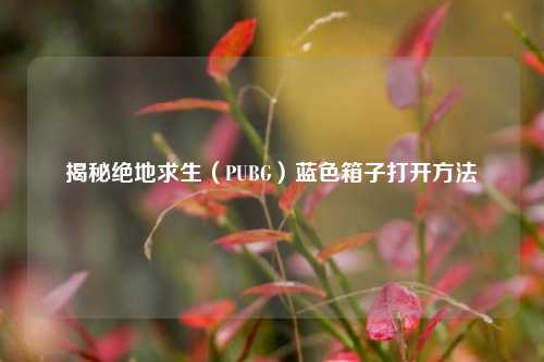 揭秘绝地求生(PUBG)蓝色箱子打开方法