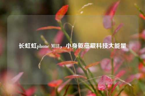 长虹虹phone M18,小身躯蕴藏科技大能量