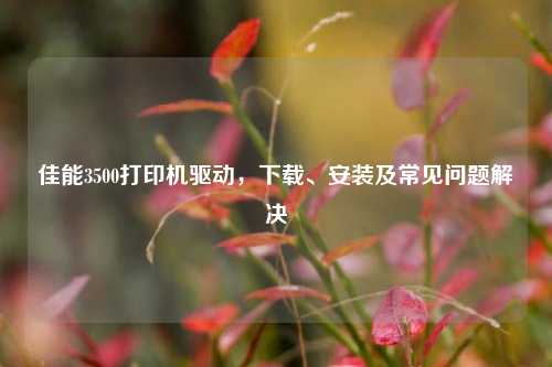 佳能3500打印机驱动,下载、安装及常见问题解决