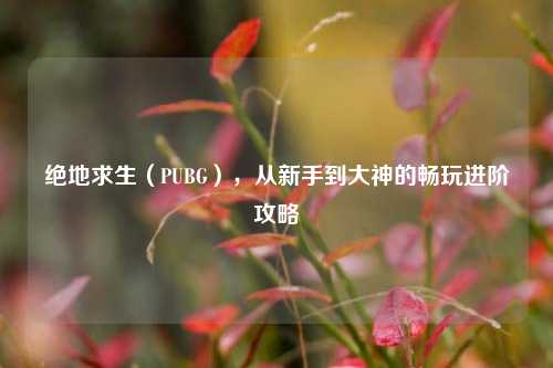 绝地求生(PUBG),从新手到大神的畅玩进阶攻略