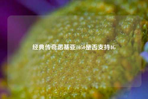 经典传奇诺基亚1050是否支持4G