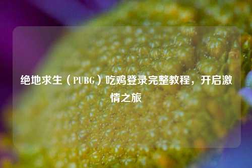 绝地求生（PUBG）吃鸡登录完整教程，开启激情之旅