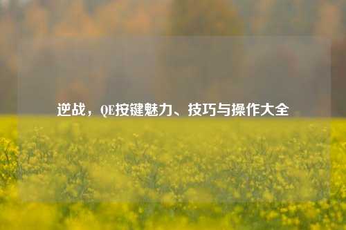 逆战,QE按键魅力、技巧与操作大全