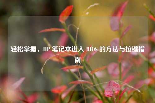 轻松掌握,HP 笔记本进入 BIOS 的方法与按键指南